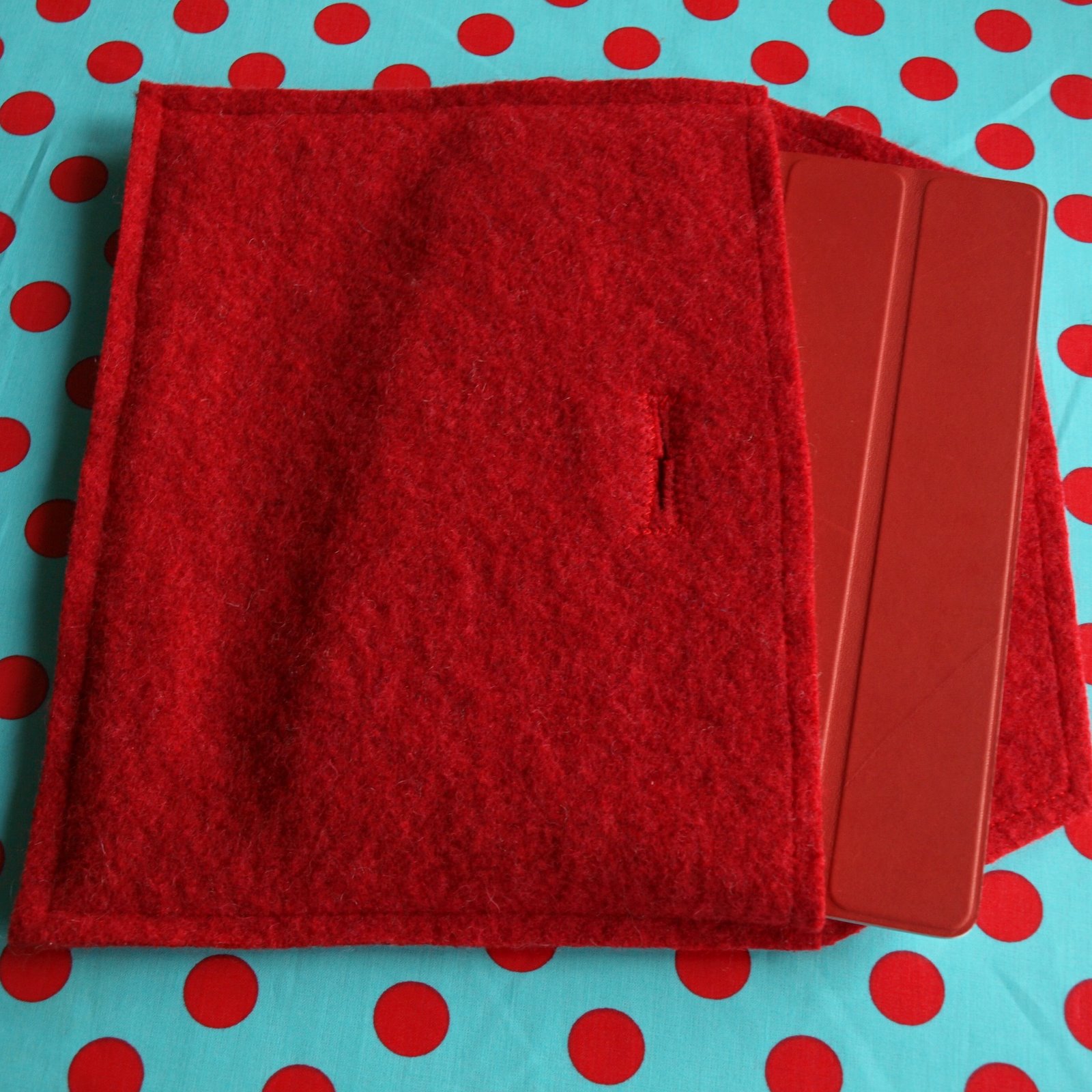 Gail Made Quick and Dirty Felt iPad Case