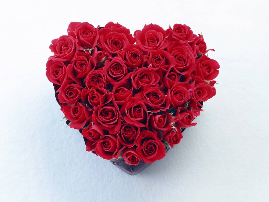 http://4.bp.blogspot.com/-2DR5MN0oCY0/T9Vwg9ELq1I/AAAAAAAAFX4/KNqw92PVjHY/s1600/Rose-Wallpaper-14.jpg