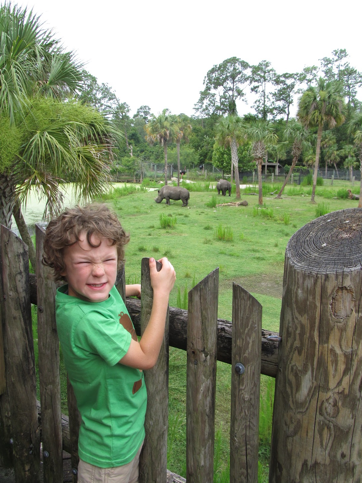 Life Through My Lens Our visit to the Jacksonville zoo.