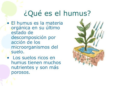 formación de humus
