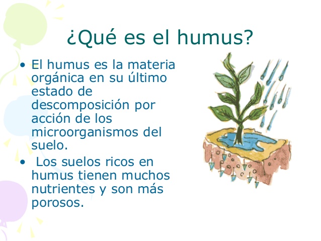 El medio para la desinfección de los locales con el hongo
