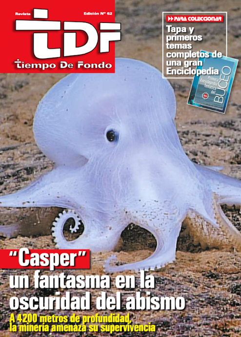 Revista TDF Número 62. "Isla Pingüino y Ria Deseado"