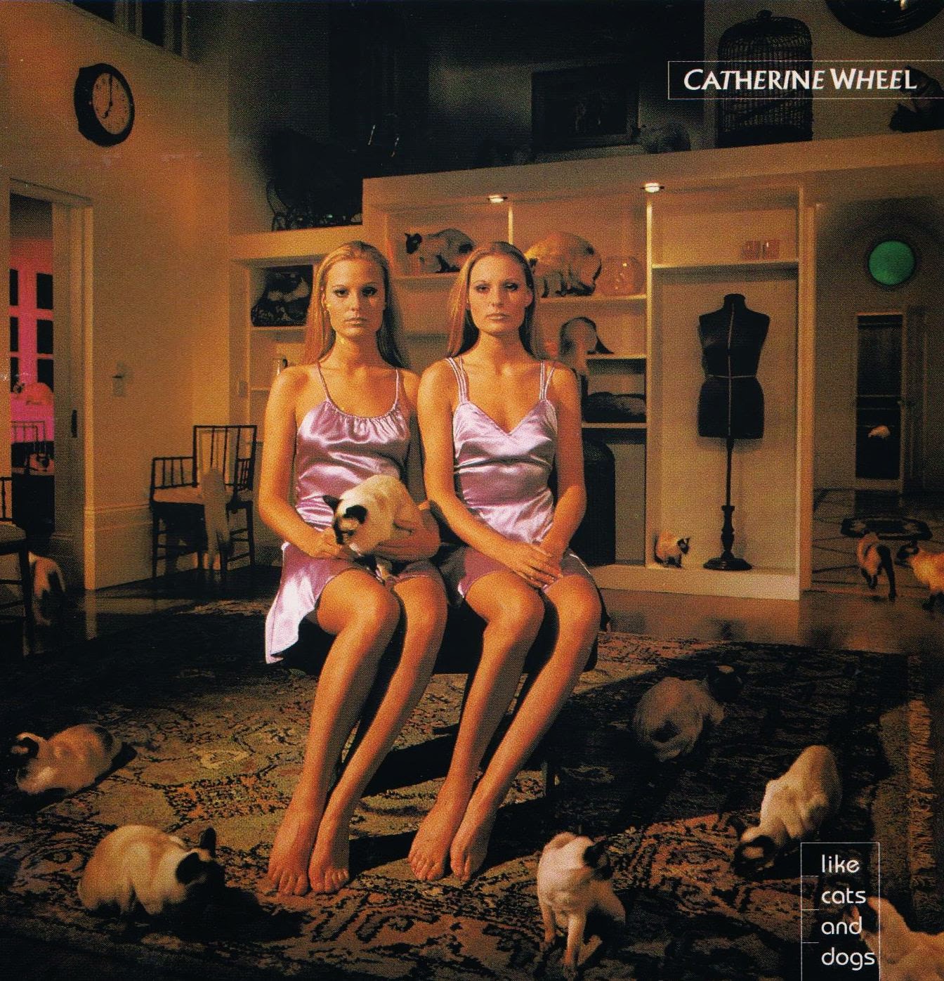Catherine Wheel Like Cats And Dogs Catherine Wheel Like Cats And Dogs