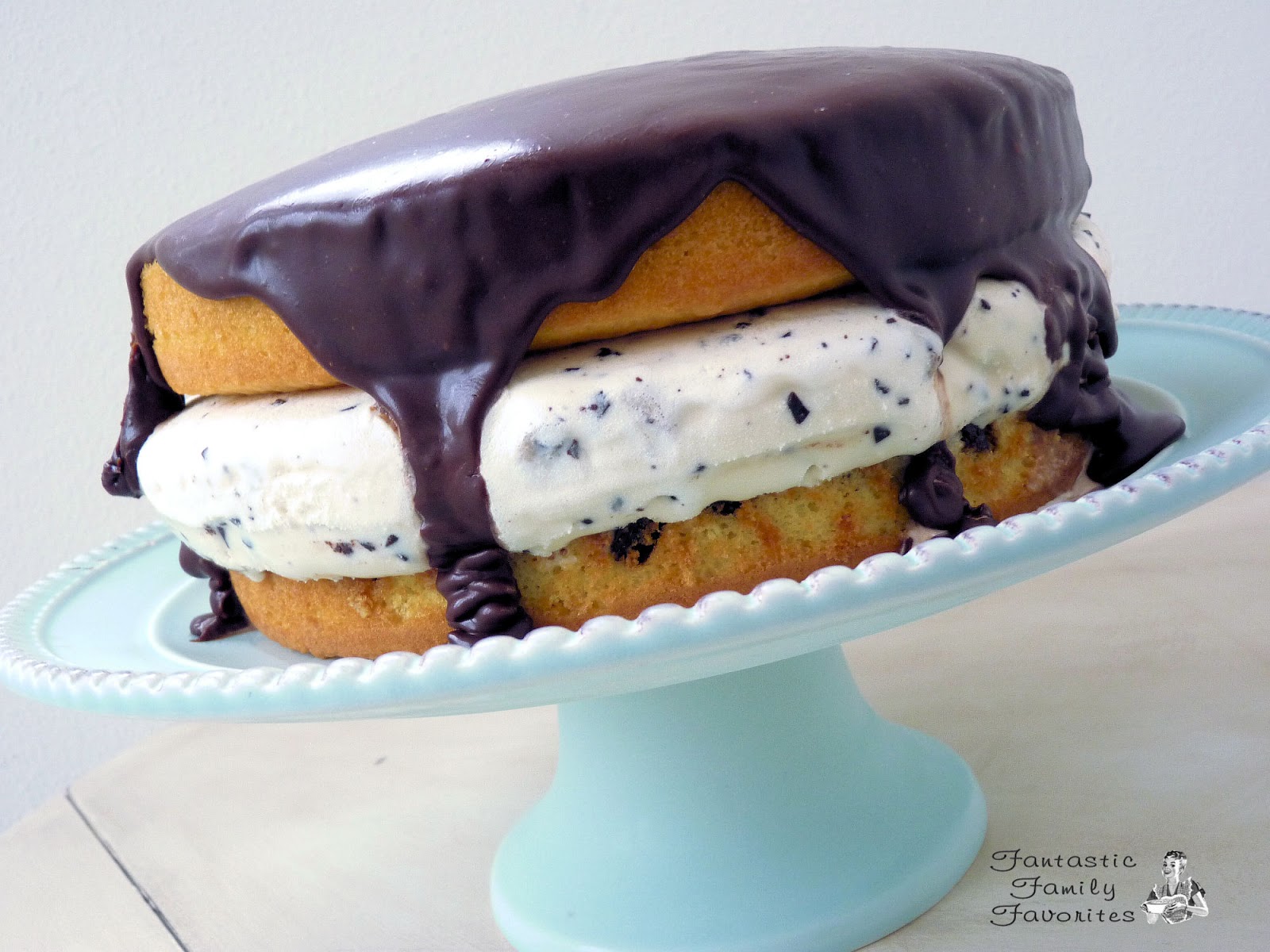 Fantastic Family Favorites Easy Ice Cream Cake