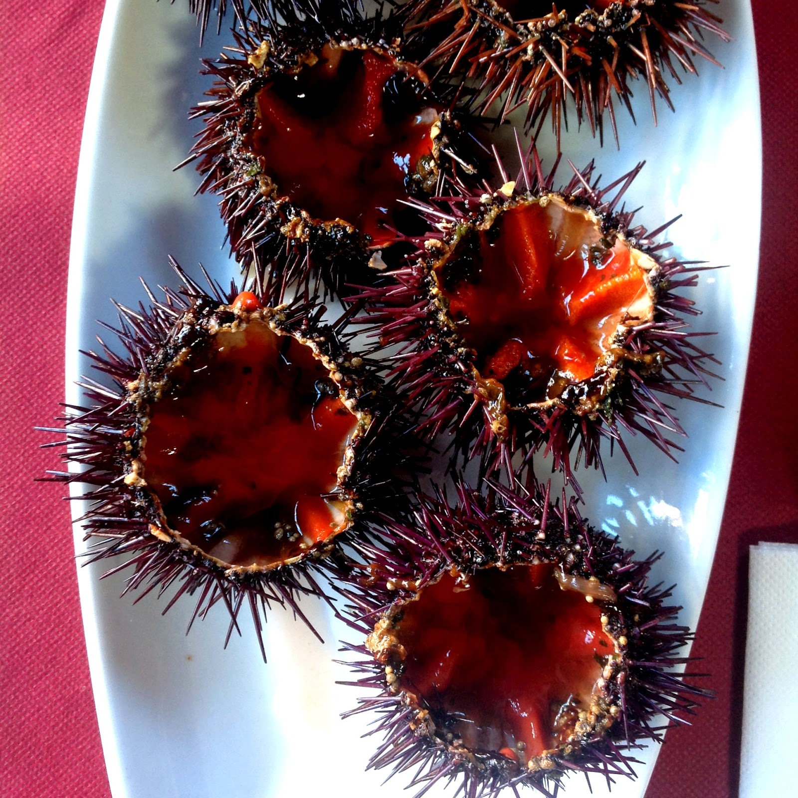 Erizos de mar de Dénia de intenso sabor yodado Erizos de mar de Dénia de intenso sabor yodado