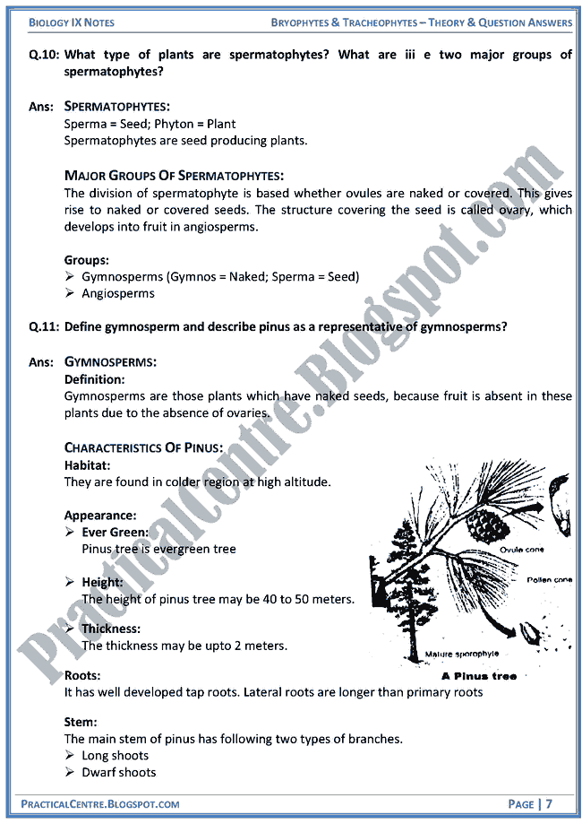 bryophytes-and-tracheophytes-theory-and-question-answers-biology-ix