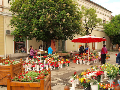 Flori de vanzare in Gheorgheni