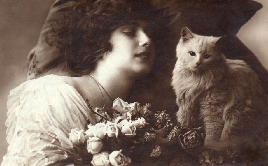 bumble button Very cute Victorian cat and kitten pictures. free clip