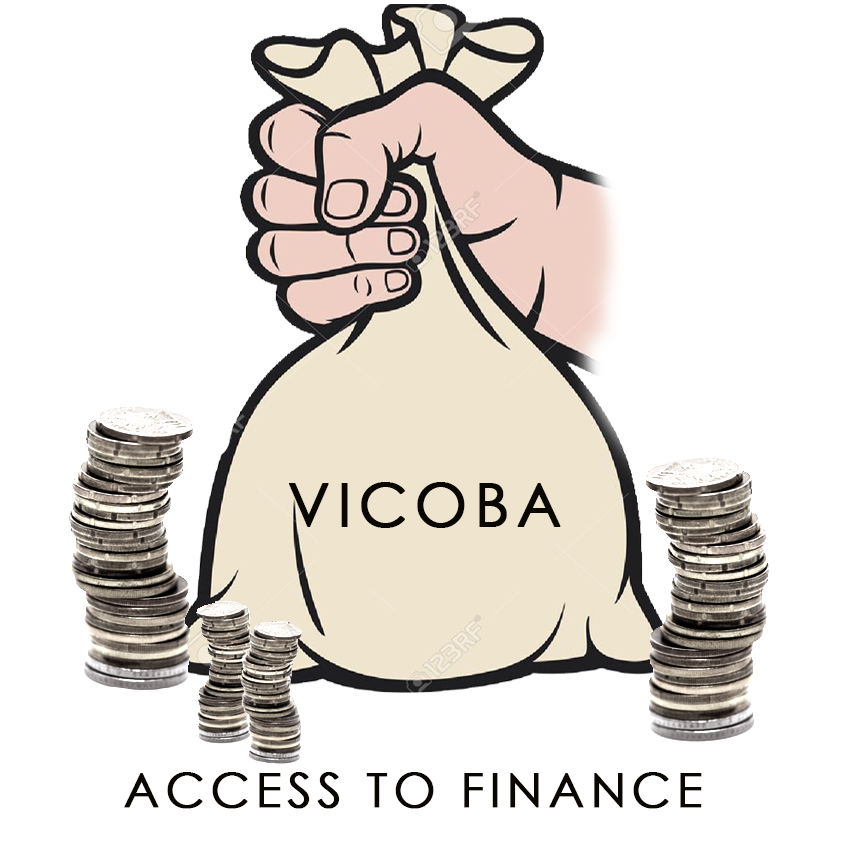 ACCESS TO FINANCE