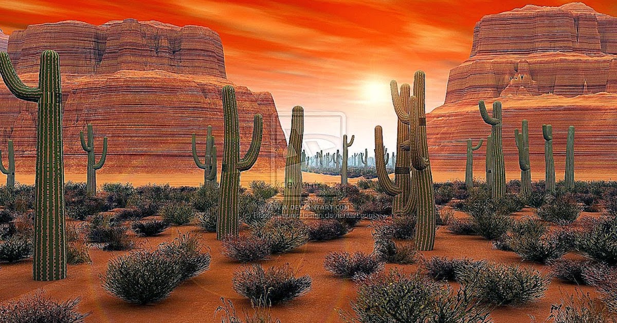 Arizona Desert Pictures For Wallpaper | Free Best Hd Wallpapers