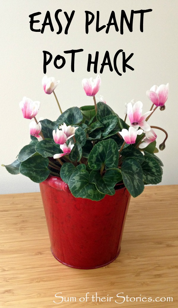 Easy Plant Pot Hack Sum of their Stories