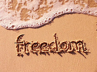 (‾▿‾)-σ  FREEDOM