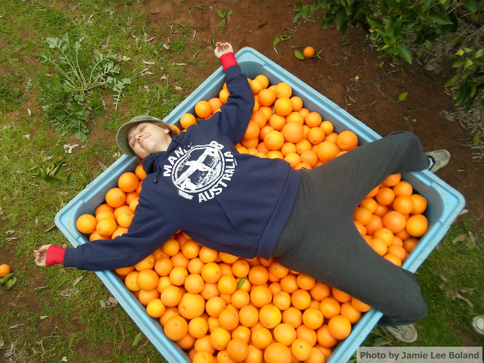 My Roaming Backpack.WORLDWIDE I Survived Orange Picking in Iraak, Australia!