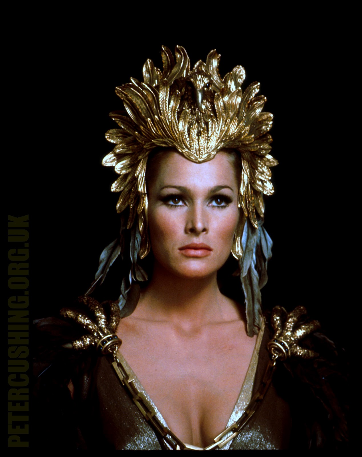 Best Belly Dance Skirt | Beautiful Belly Dance: Best Belly Dance Skirt