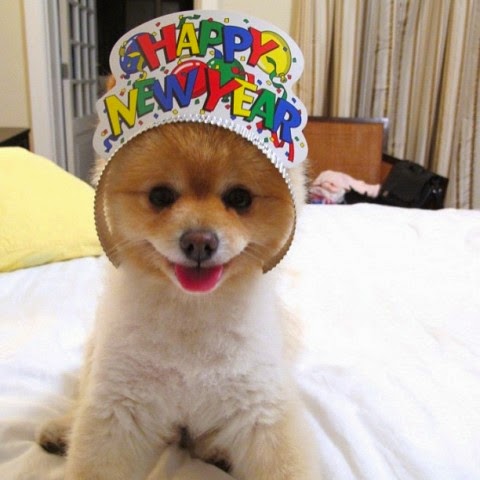 Sammy-Wishes-You-a-Happy-New-Years-e1325374412686.jpg