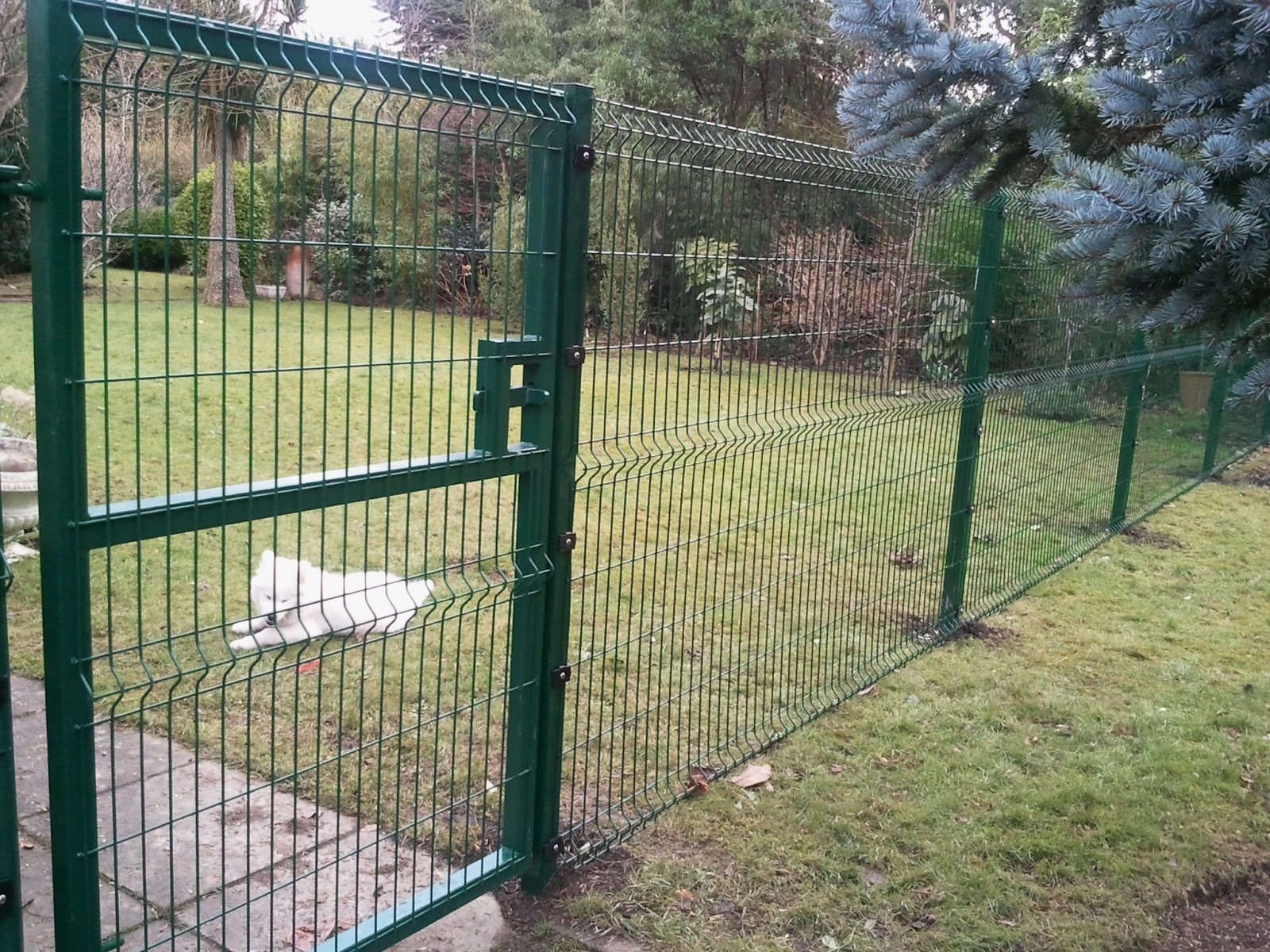 Capital Fencing Mesh Panel Fencing