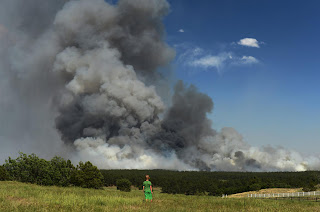 Black Forest Fire