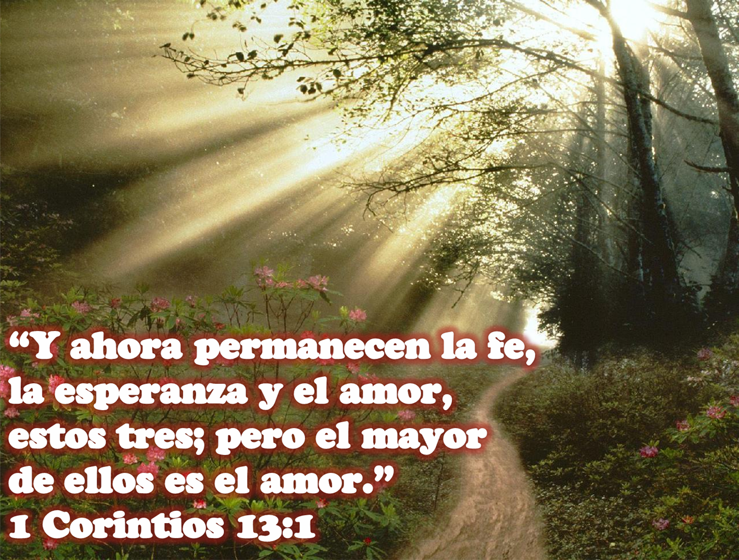 Imagenes Hermosas Textos Biblicos | imagenes con textos biblicos temas y devocionales tattoo Imagenes Hermosas Textos Biblicos | imagenes con textos biblicos temas y devocionales tattoo