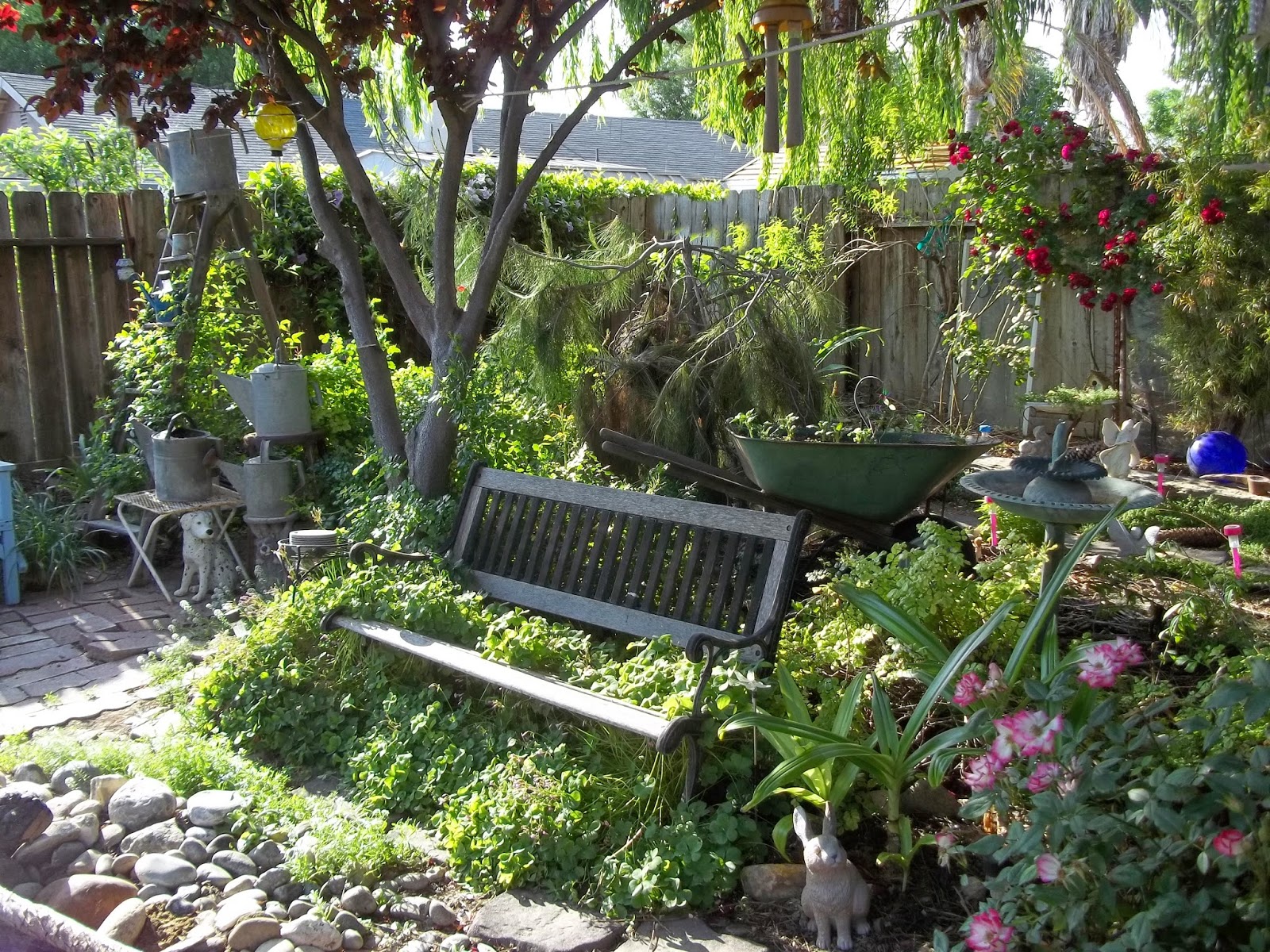 Dragonfly Treasure The Backyard Garden In Bloom