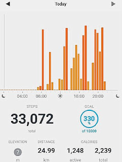 Fitness Tracker Graphic of data from a fitness tracker