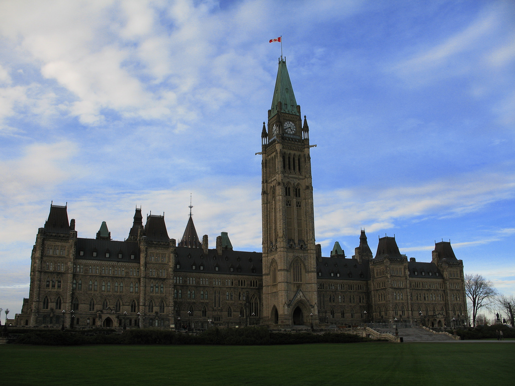 Parliament Hill Cats