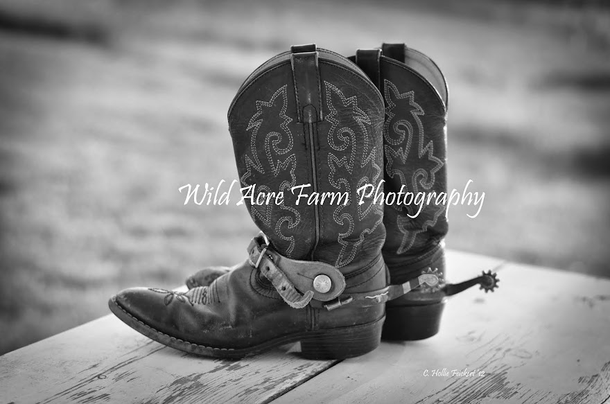 Wild Acre Farm Photography