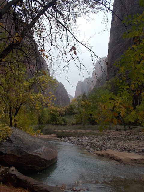 Zion Canyon Zion National Park