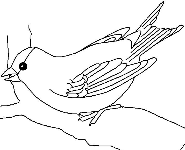 Florida Flag Coloring Page #3 Florida Flag Coloring Page #3