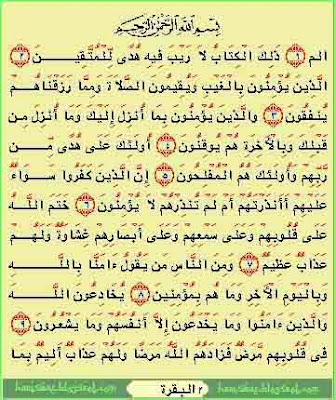 Quran-Terjemah v81 untuk Windows PC