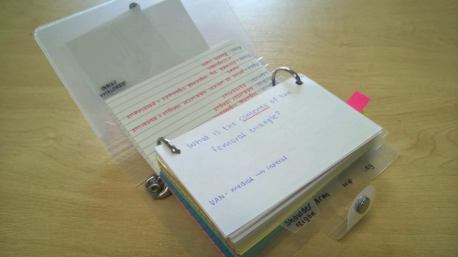 Anatomiczny: Zrób to sam: fiszki