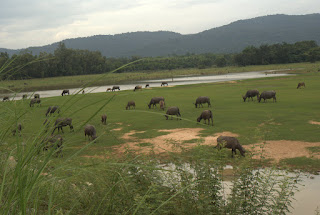 Ujrzeć Mekong i wrócić szlakiem Khmerów 49