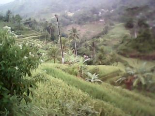 kampungku 1 kampungku 1