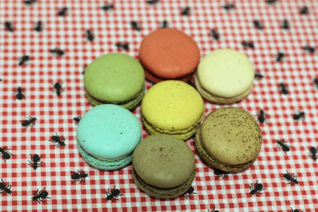 Macarons Opera Ganache