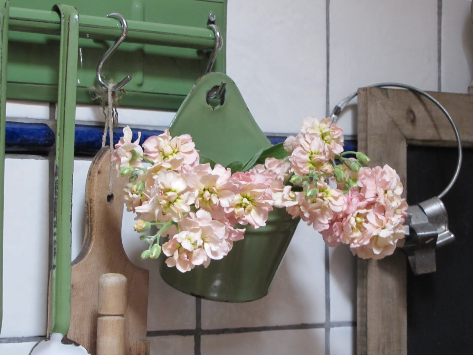 Onder de knotwilg: bloemetje op woensdag