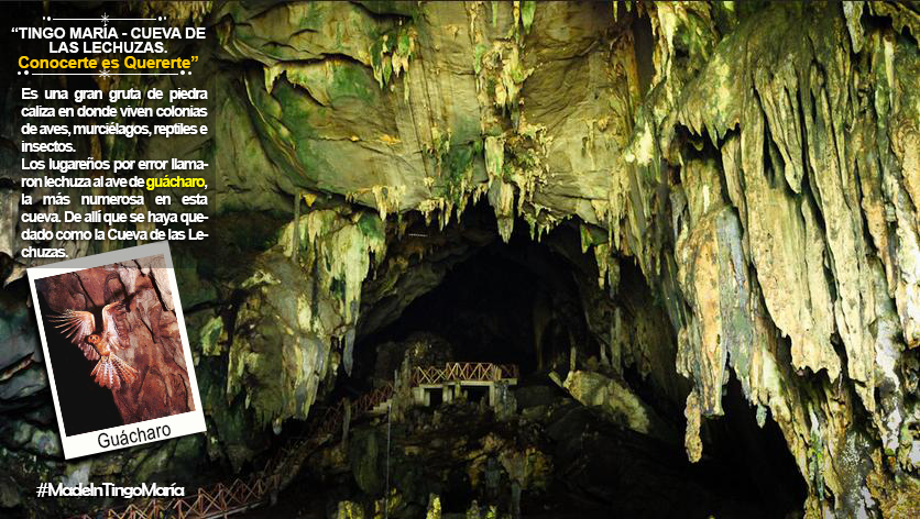 Cueva de las Lechuzas: Un curioso lugar en Tingo María - Made In Tingo María