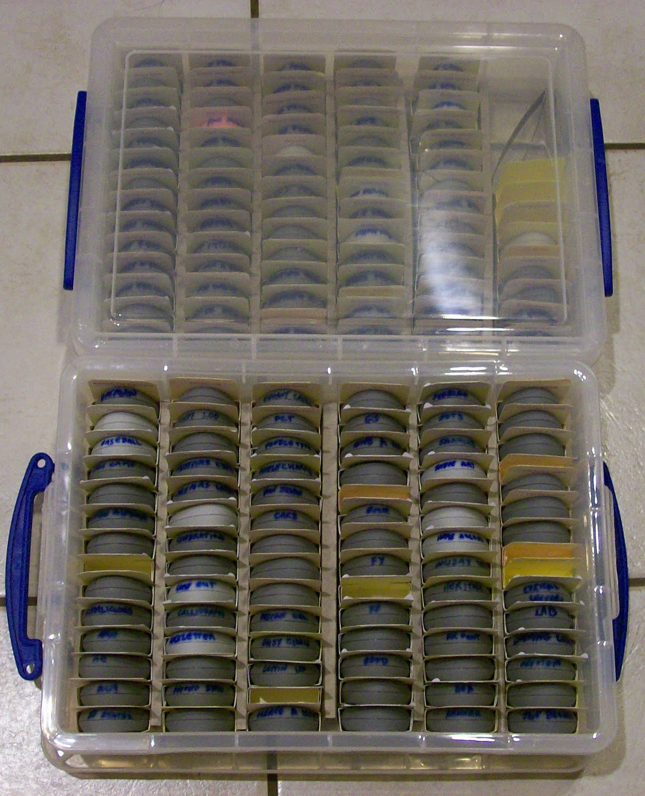 A TASTE of DC Cricut Cartridge Storage