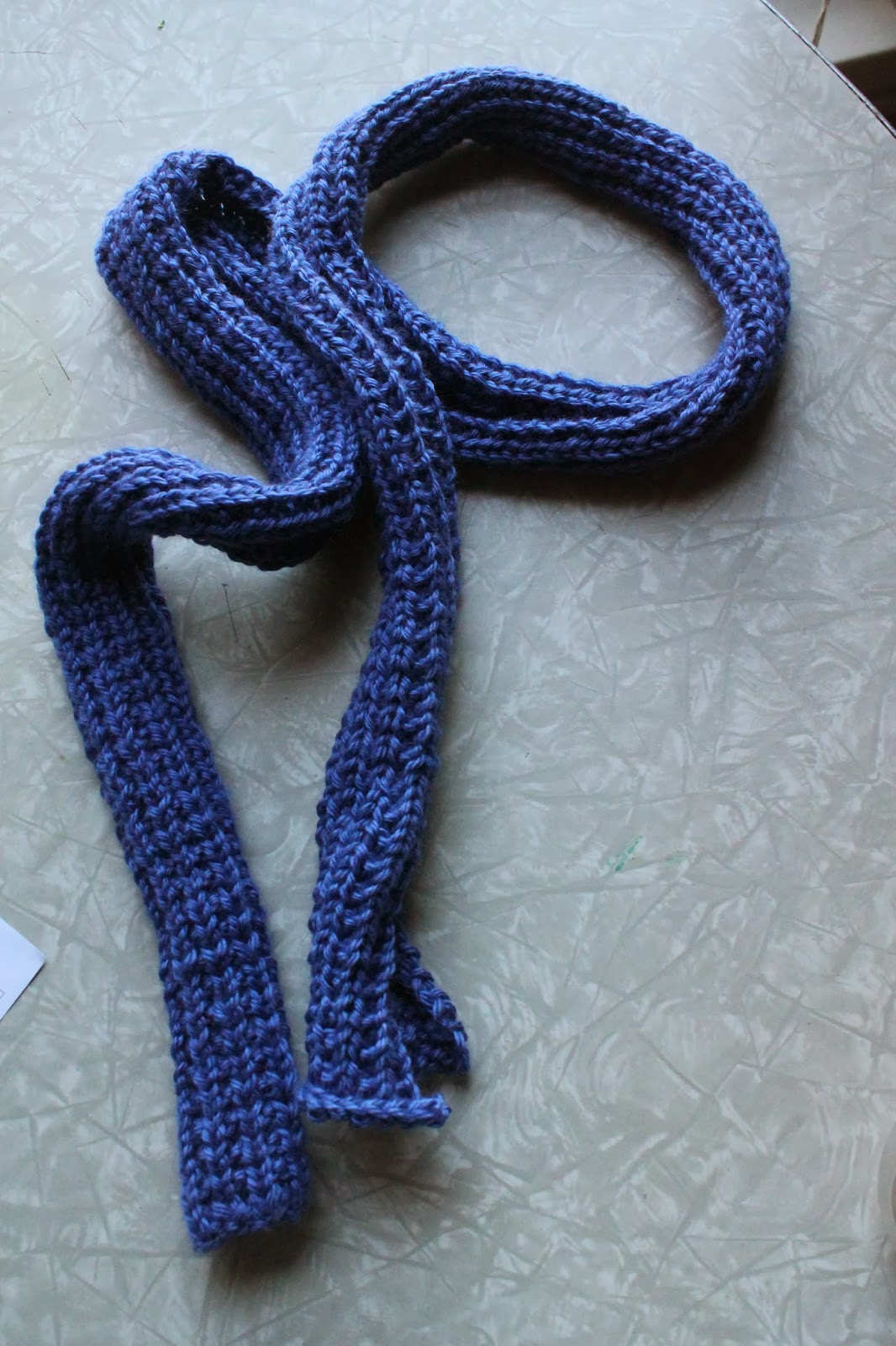 Everyday Life at Leisure I Knitted a Sherlock Scarf!