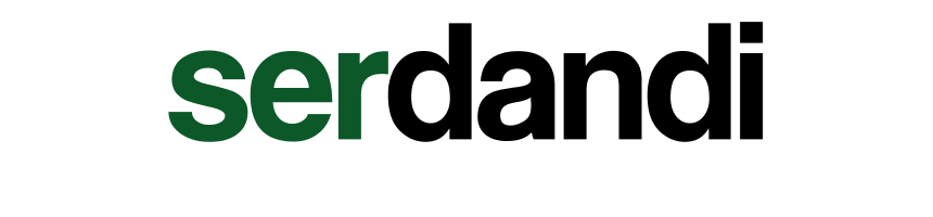 SerDandi