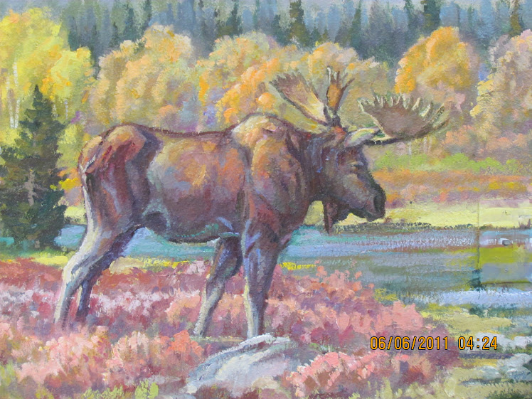 Close Up Of Moose
