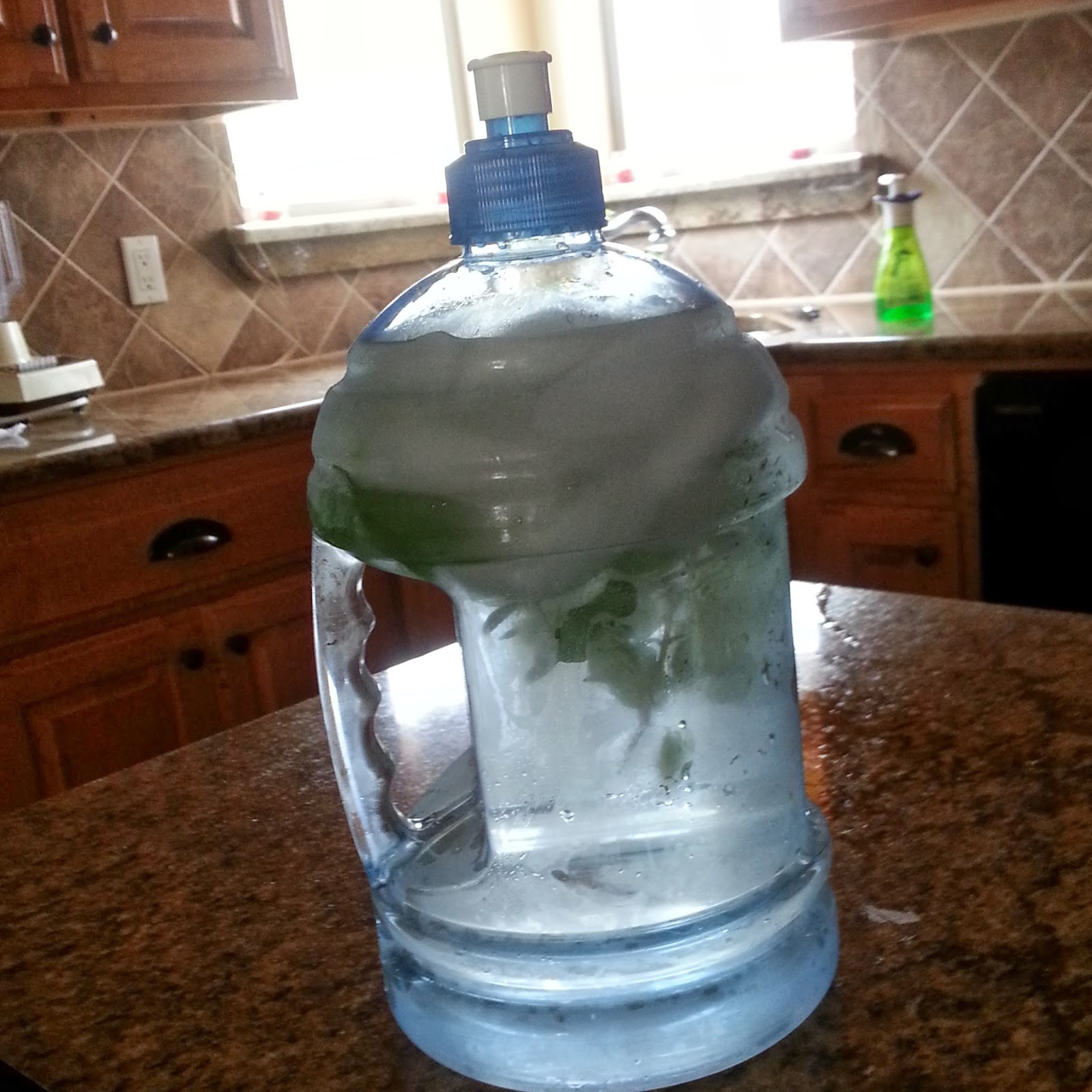 Healthy Habit Helper H2O on the Go Bottle Nettye Johnson