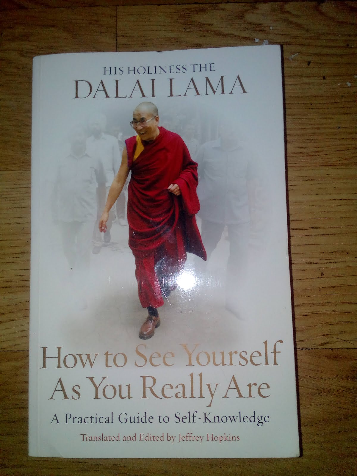 'How to See Yurself As You Really Are' by<br>His Holiness the Dalai Lama.