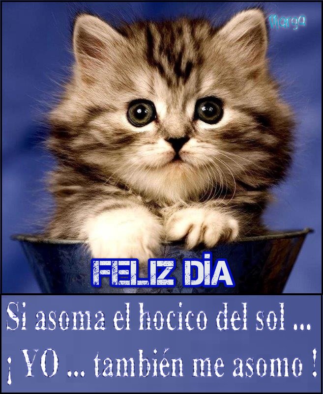 Imagen relacionada
