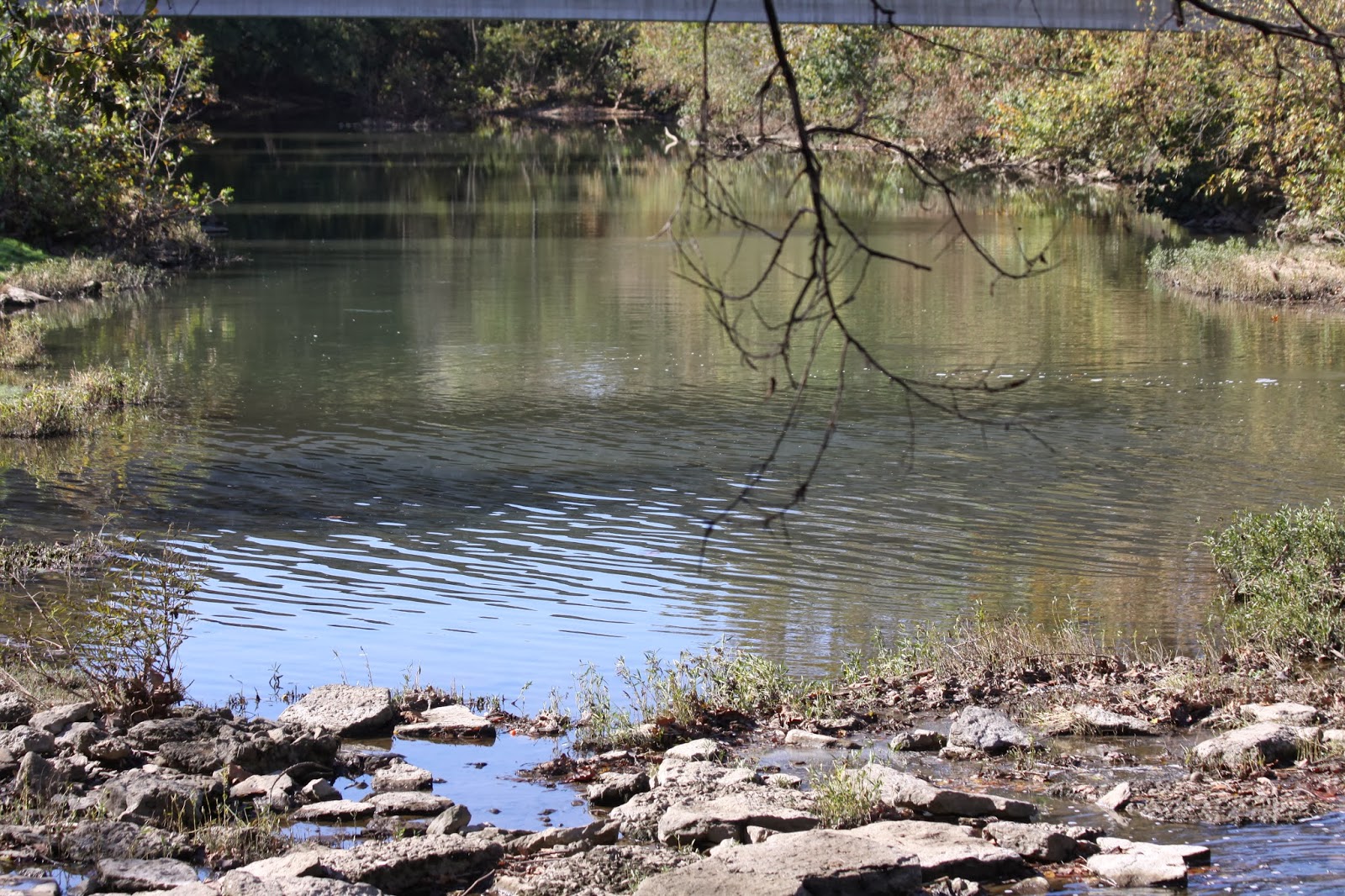 BlueEyed Kentucky Elkhorn Creek at Great Crossings Park