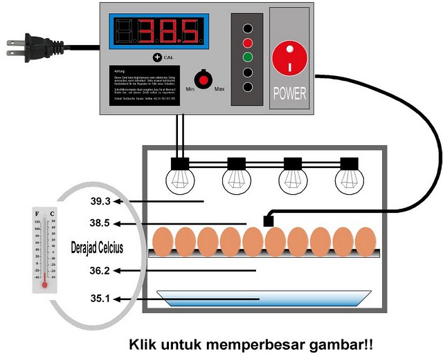 mesin penetas telur sederhana distributor mesin penetas the knownledge mesin penetas telur sederhana distributor mesin penetas the knownledge
