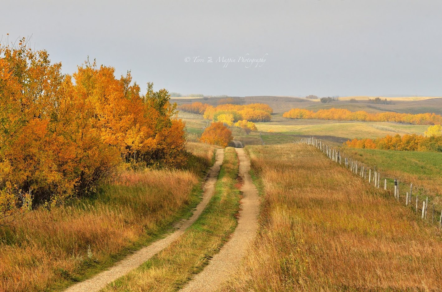 Welcome to My Little Piece of the Prairies ...