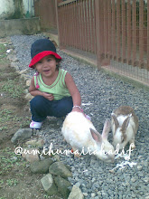 Humaira 2thn