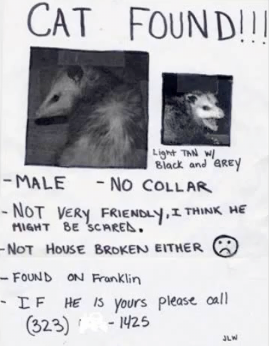 Picture%252B6.png
