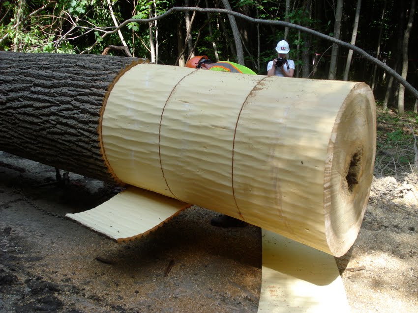 debarking a chop stick landscape voice debarking a chop stick landscape voice