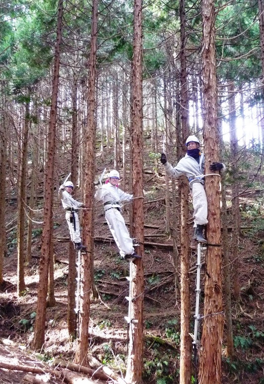 アルミ　木登り昇降用具　強力ペッカー　枝打ち　庭師 アルミ 木登り昇降用具 強力ペッカー 枝打ち 庭師