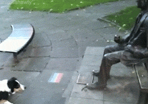 Animated gif of an excited dog picking up a stick and placing it on the lap of a seated statue